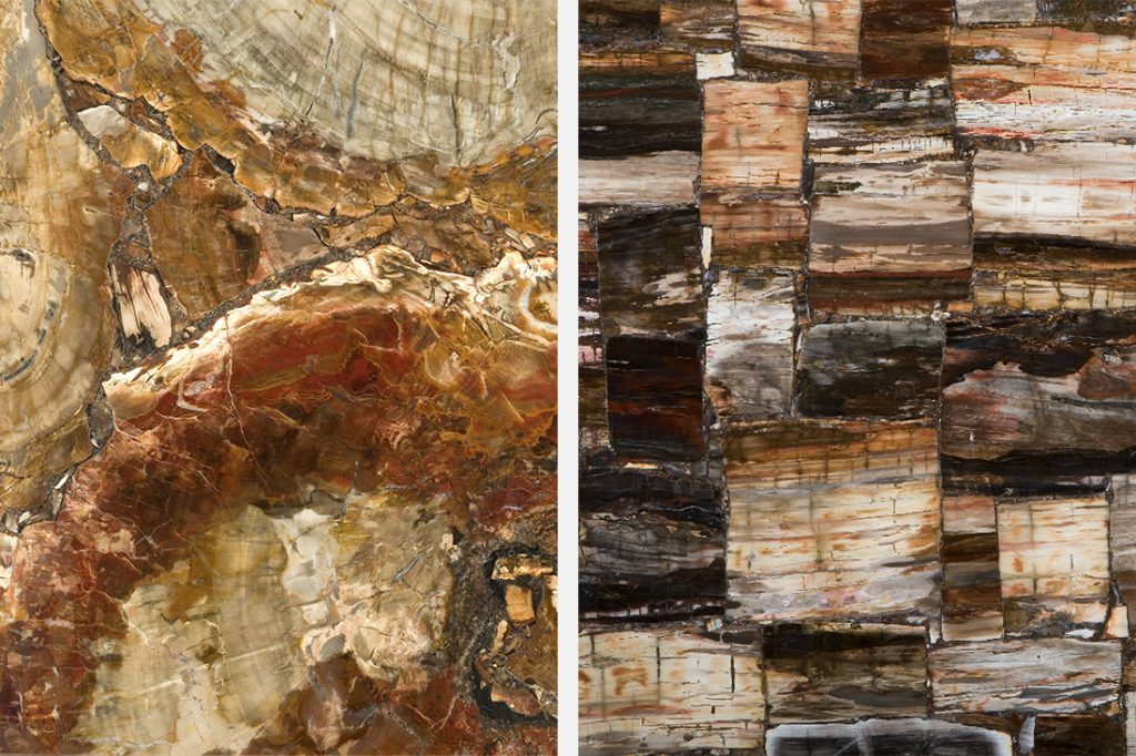 Caesarstone Concetto Petrified Wood PW Classic
