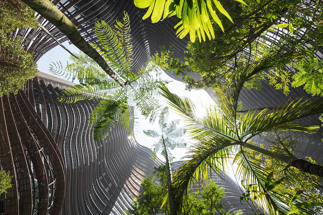 INDE.Awards Winner Marina One and Singapore’s Evolving Garden Story